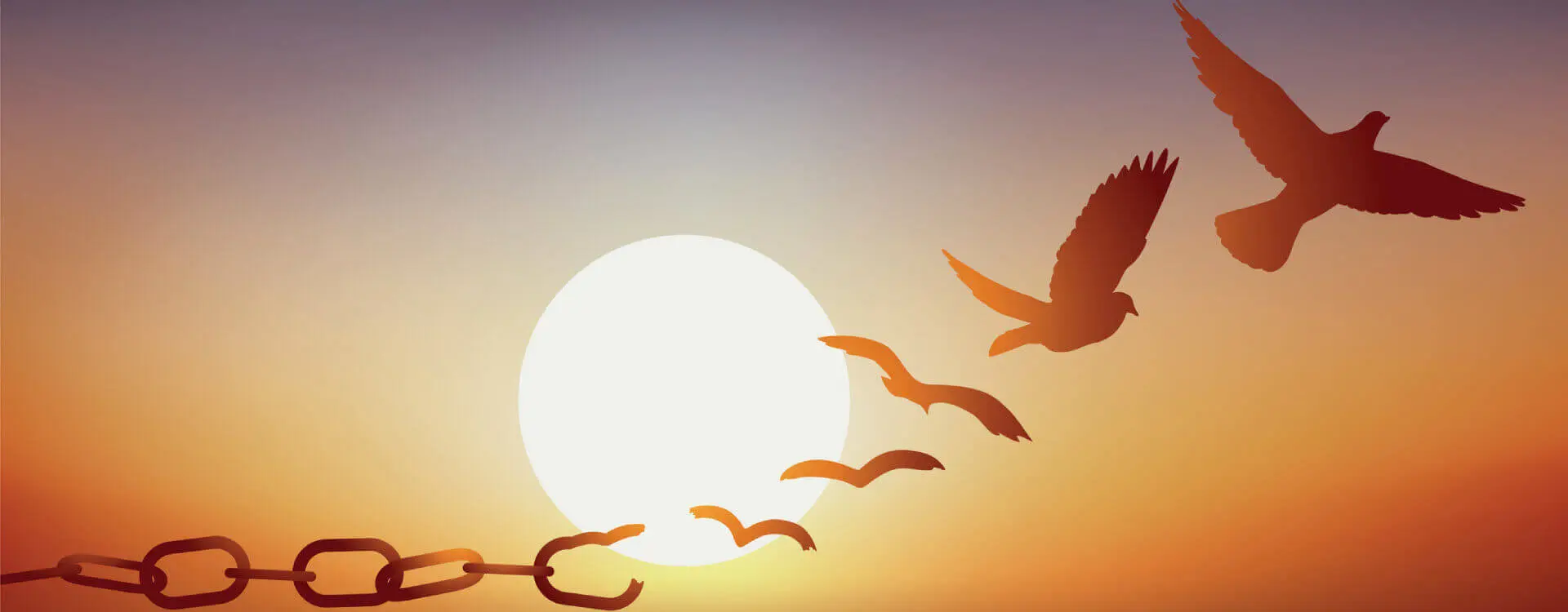 8 links of chain, the 8th chain is broken and the next animation is a bird. There are 5 versions of the bird, each one gets more detailed than the next. There is a bright yellow round sun in the background with an orange gradient background as the sky.