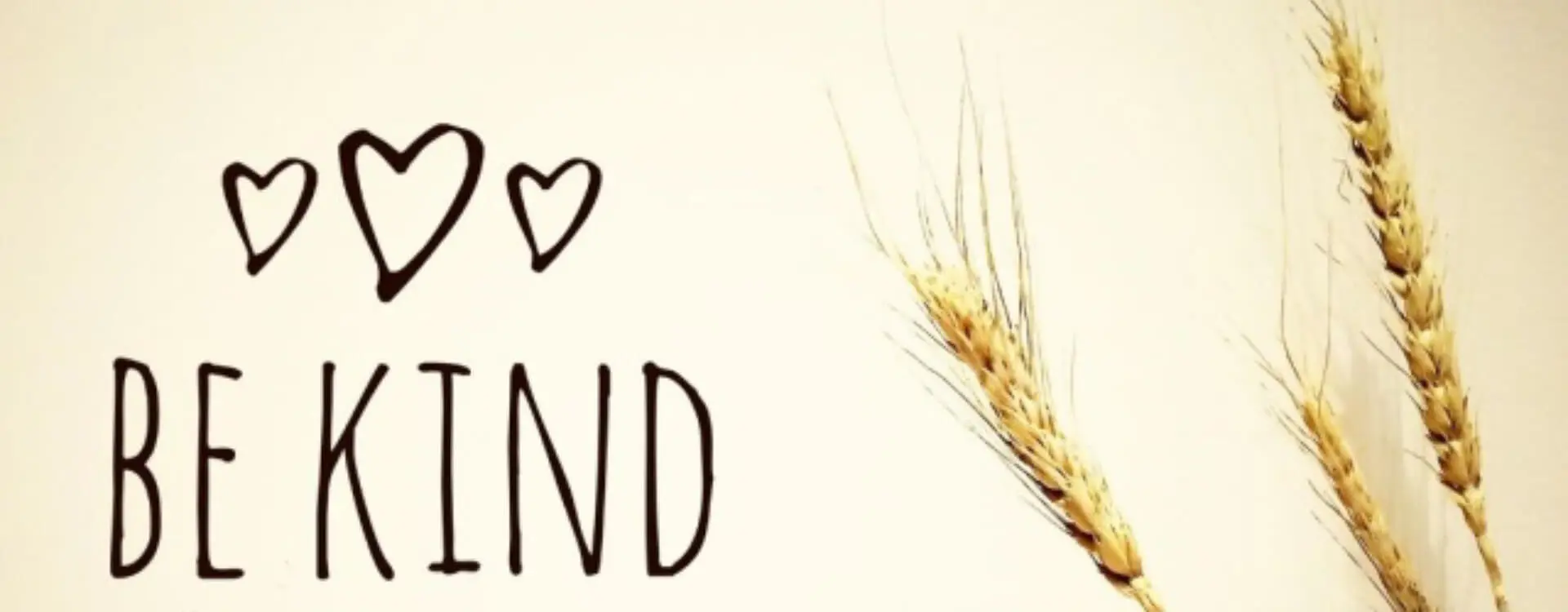 Three hand drawn hearts, with the words "Be Kind" underneath. Three pieces of wheat on the right side of the photo.