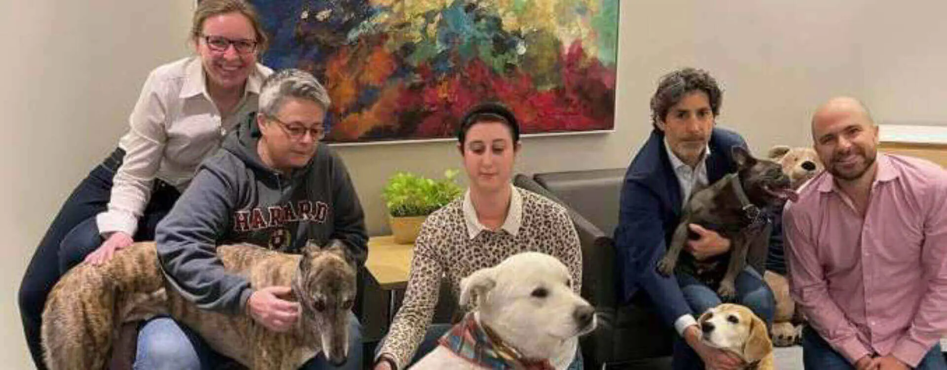 From Left to Right: Ivanna Iwasykiw, Simona Jellinek with Ryder (dog), Jessica Golosky with Fabien (dog), Charles Gluckstein with Duke and Sam (dogs) and Jonathan Burton