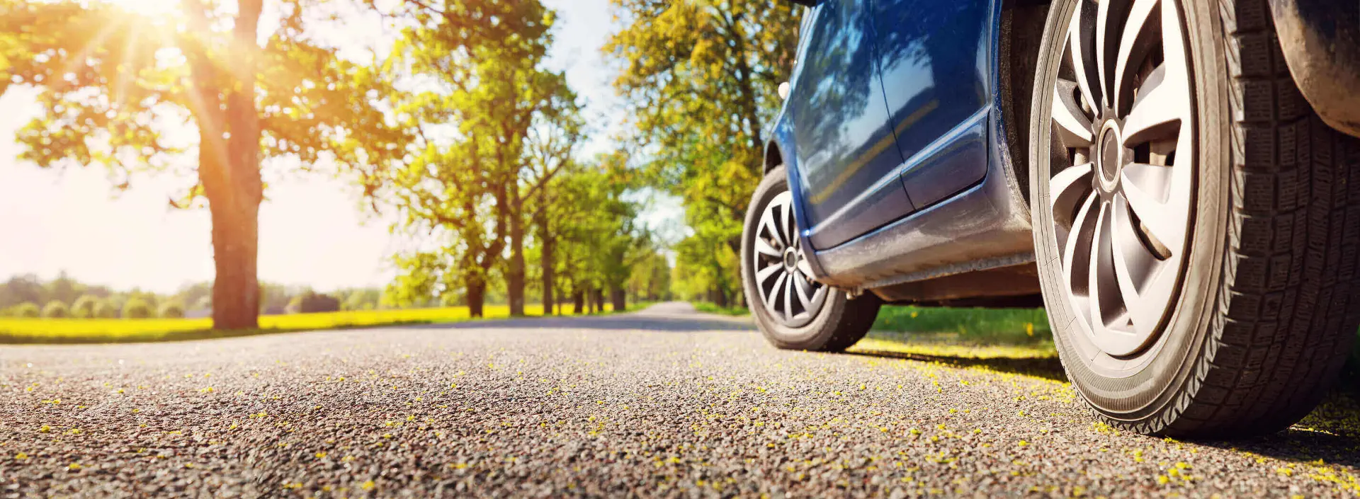 Bright sunny day. A road with trees on either side, a blue car's two wheels can be seen from the side profile of the car. The car is on the right side of the photo.