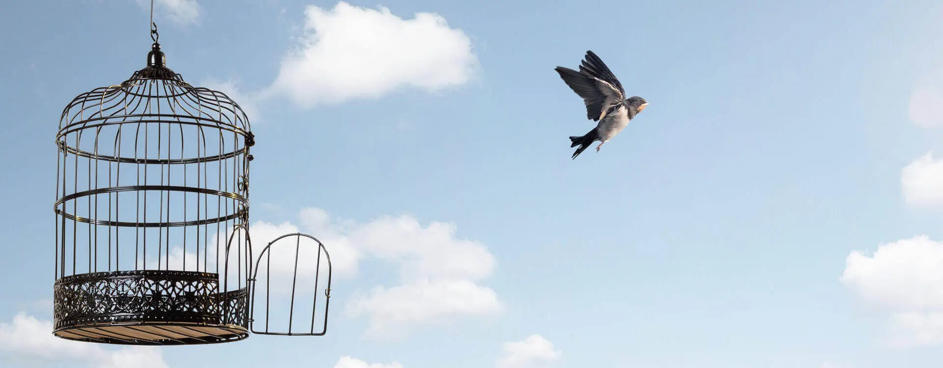 Open bird cage on the left, flying free bird on the right. Cloudy sky is the background of the photo.