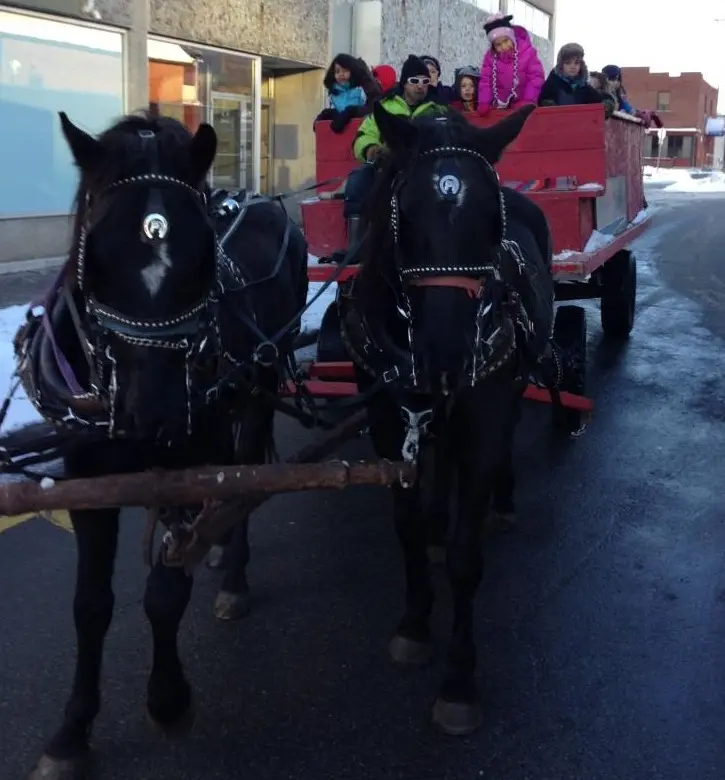 Staff-Party-and-Sleigh-Ride