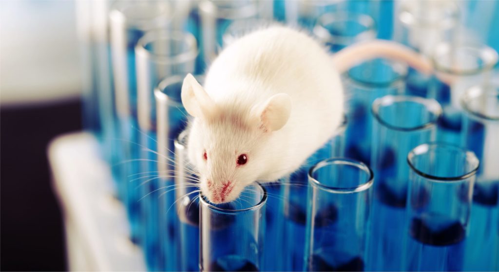 2018.09 - brain injury & mice testing