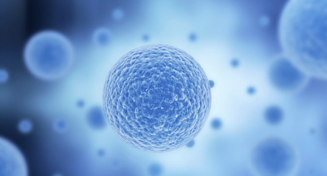 Thumbnail image for stem cell.png