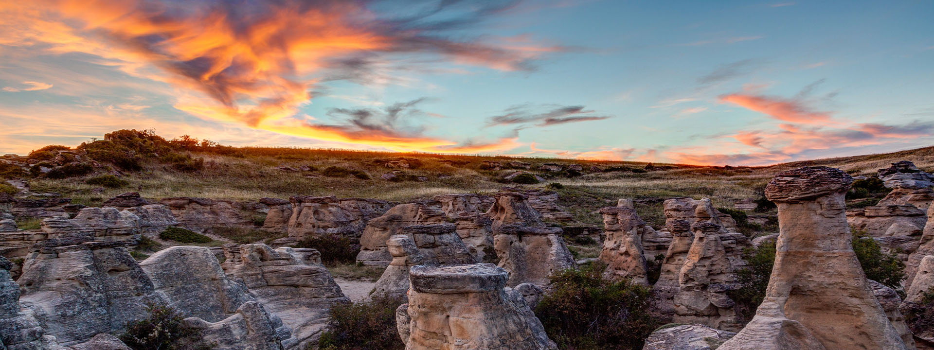 Sixties Scoop Survivors Resources