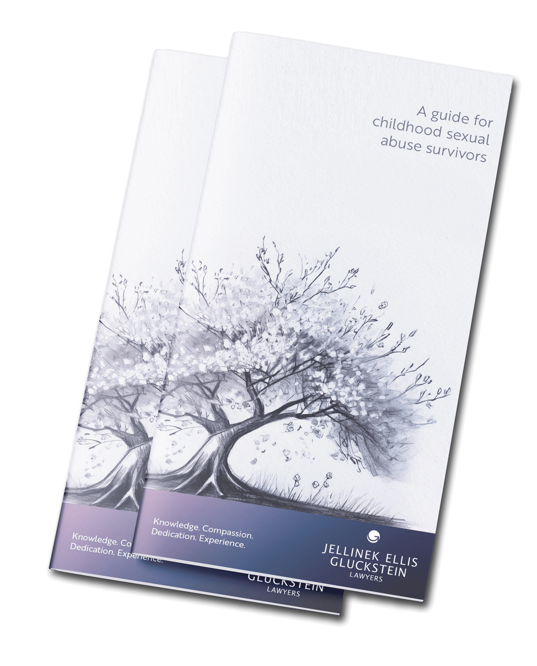 SA Brochure SA Brochure
